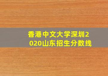 香港中文大学深圳2020山东招生分数线