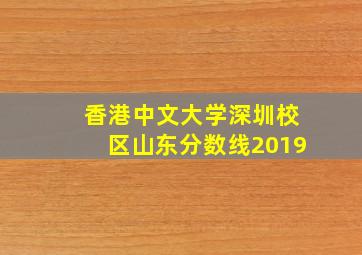 香港中文大学深圳校区山东分数线2019