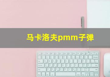 马卡洛夫pmm子弹