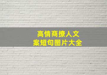 高情商撩人文案短句图片大全