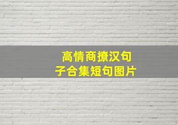 高情商撩汉句子合集短句图片