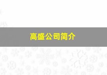 高盛公司简介