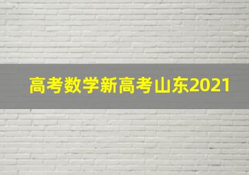 高考数学新高考山东2021