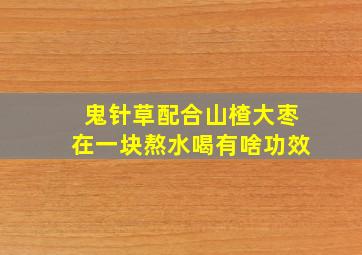 鬼针草配合山楂大枣在一块熬水喝有啥功效