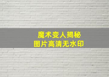 魔术变人揭秘图片高清无水印