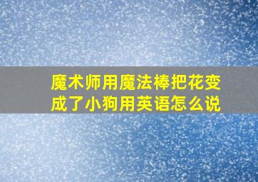 魔术师用魔法棒把花变成了小狗用英语怎么说