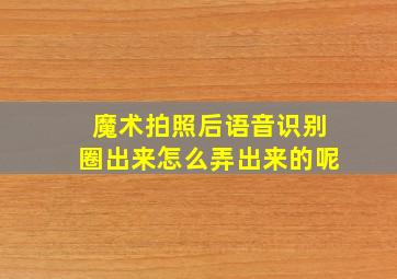 魔术拍照后语音识别圈出来怎么弄出来的呢