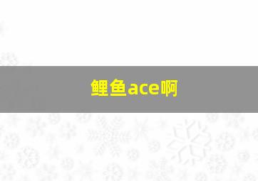 鲤鱼ace啊