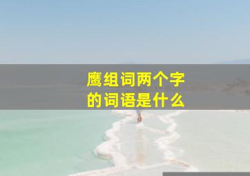 鹰组词两个字的词语是什么