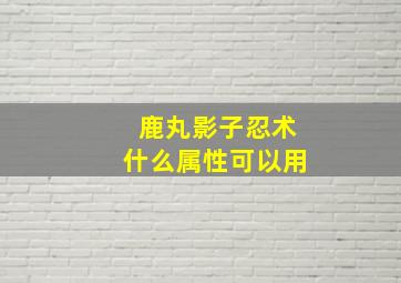 鹿丸影子忍术什么属性可以用