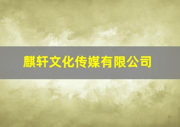 麒轩文化传媒有限公司