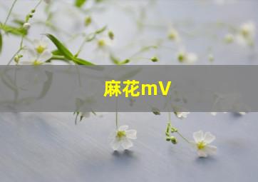 麻花mV