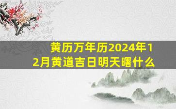 黄历万年历2024年12月黄道吉日明天曙什么