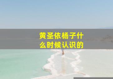 黄圣依杨子什么时候认识的