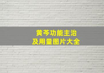 黄芩功能主治及用量图片大全