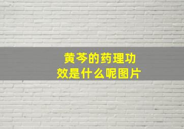 黄芩的药理功效是什么呢图片