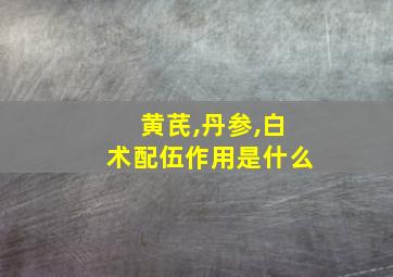 黄芪,丹参,白术配伍作用是什么