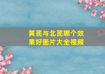 黄芪与北芪哪个效果好图片大全视频