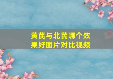 黄芪与北芪哪个效果好图片对比视频