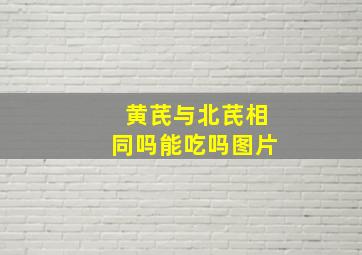 黄芪与北芪相同吗能吃吗图片