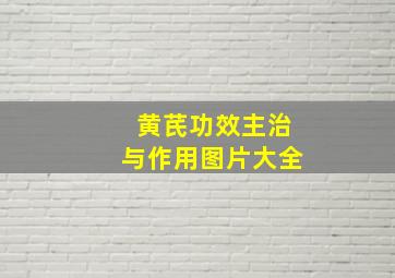 黄芪功效主治与作用图片大全