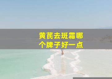 黄芪去斑霜哪个牌子好一点