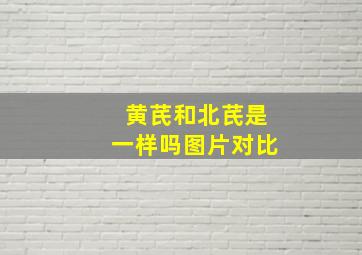 黄芪和北芪是一样吗图片对比