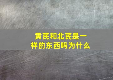 黄芪和北芪是一样的东西吗为什么