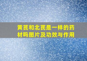 黄芪和北芪是一样的药材吗图片及功效与作用