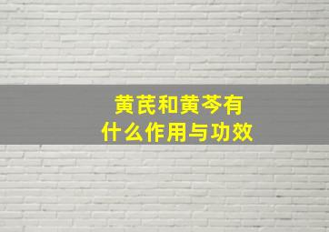 黄芪和黄芩有什么作用与功效