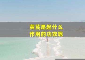 黄芪是起什么作用的功效呢