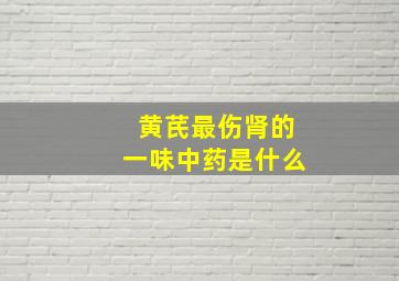 黄芪最伤肾的一味中药是什么