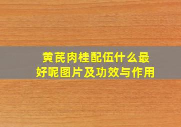 黄芪肉桂配伍什么最好呢图片及功效与作用