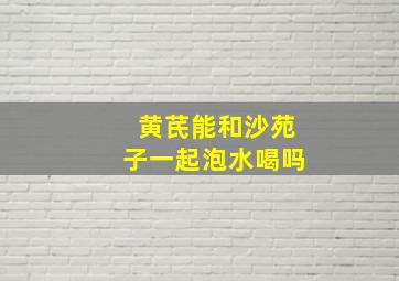 黄芪能和沙苑子一起泡水喝吗