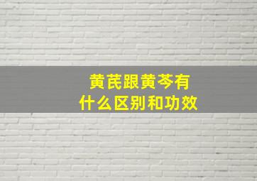 黄芪跟黄芩有什么区别和功效