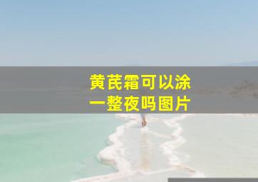 黄芪霜可以涂一整夜吗图片