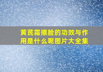 黄芪霜擦脸的功效与作用是什么呢图片大全集