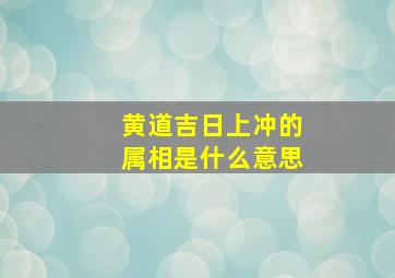 黄道吉日上冲的属相是什么意思