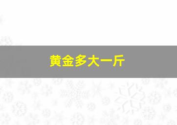 黄金多大一斤