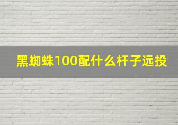 黑蜘蛛100配什么杆子远投