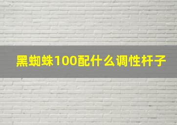 黑蜘蛛100配什么调性杆子