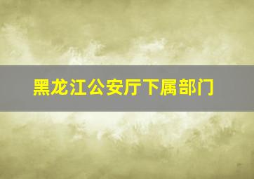 黑龙江公安厅下属部门