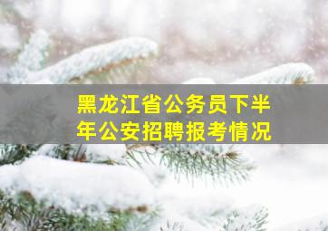 黑龙江省公务员下半年公安招聘报考情况