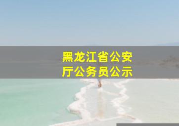 黑龙江省公安厅公务员公示