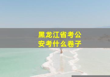 黑龙江省考公安考什么卷子