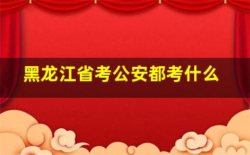 黑龙江省考公安都考什么