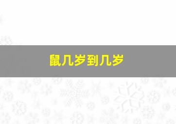 鼠几岁到几岁