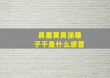 鼻塞黄鼻涕嗓子干是什么感冒