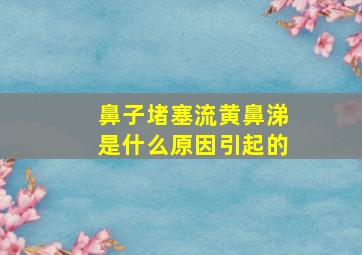 鼻子堵塞流黄鼻涕是什么原因引起的