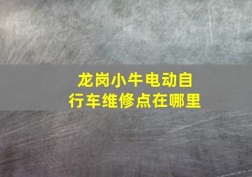 龙岗小牛电动自行车维修点在哪里